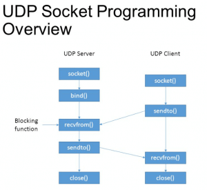 Read more about the article UDP Socket Programming in C language