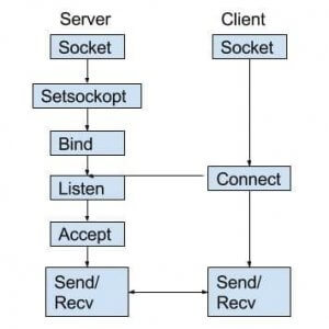 TCP Client Server-Socket Programming in C TCP Client Server-Socket Programming