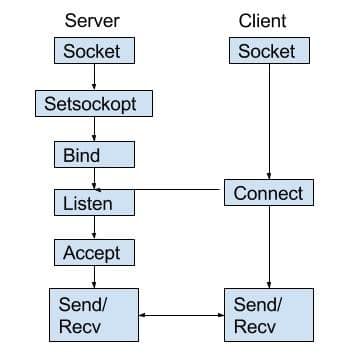 Read more about the article TCP Client Server-Socket Programming in C